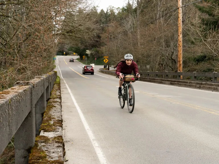 Swift Industries Kestrel Handlebar Bag
