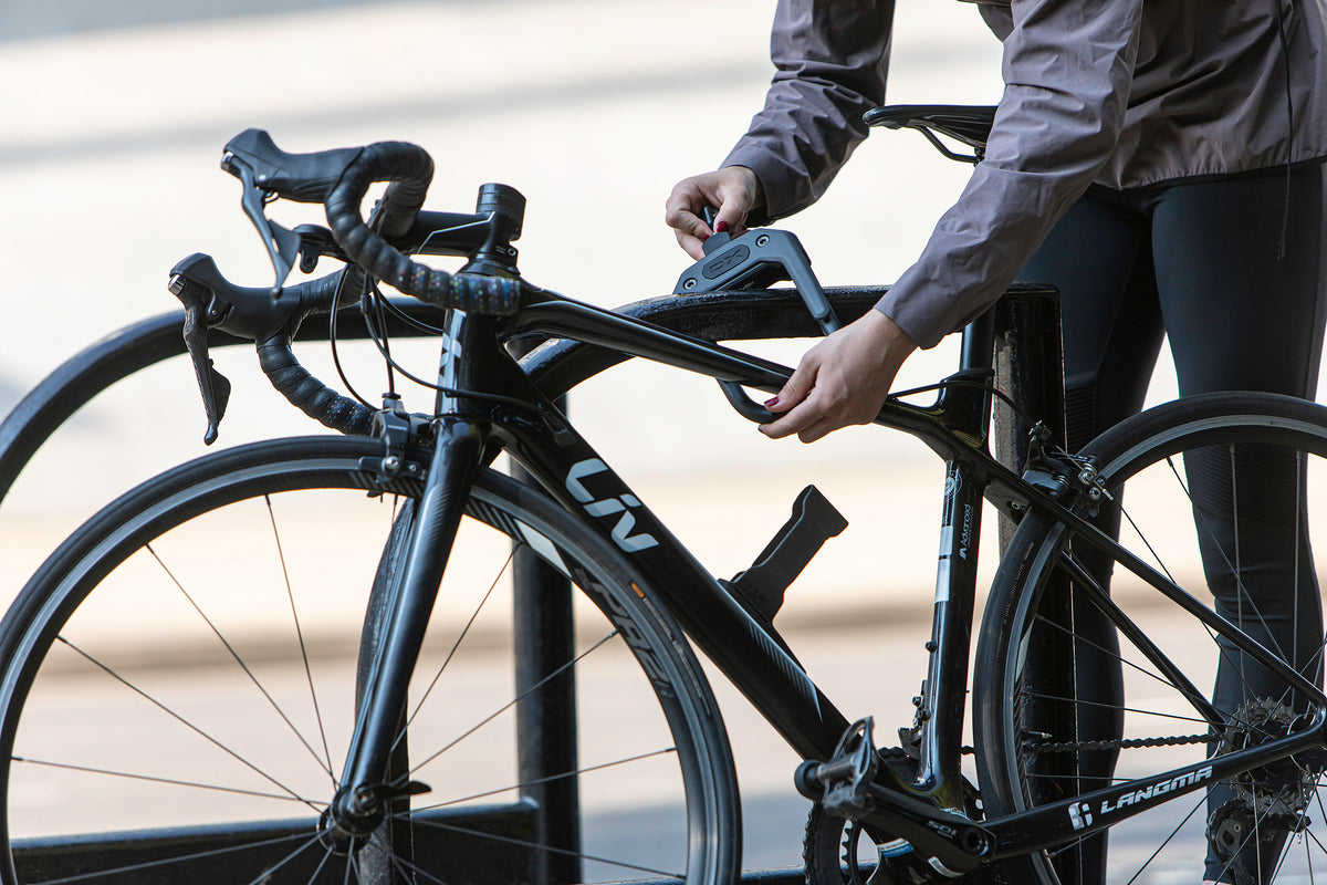 Hiplok DX- with Frame Clip